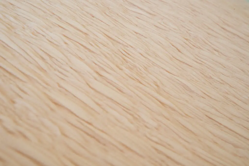 tissu organza texturé beige gros plan